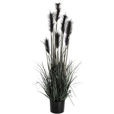 Vega Sanjah Künstliche Pampas Pflanze - Für Innen/Außen - Schwarz Vega Sanjah Künstliche Pampas Pflanze - Für Innen/Außen - Schwarz