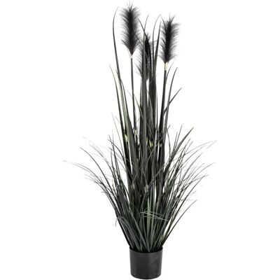Vega Modello Pianta Artificiale Pampas - Nero - 85cm Vega Modello Pianta Artificiale Pampas - Nero - 85cm