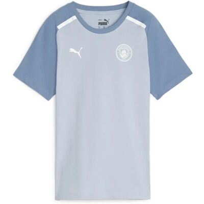 Puma Manchester City Casuals T-Shirt - Blue - Size Medium Puma Manchester City Casuals T-Shirt - Blue - Size Medium