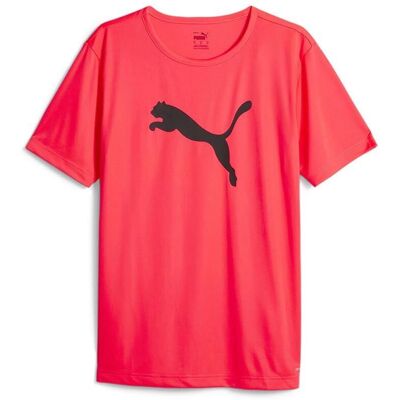 PUMA Röd Kortärmad Logo T-Shirt - Sportkläder PUMA Röd Kortärmad Logo T-Shirt - Sportkläder