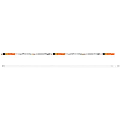 Ledvance Tube LED T8 Blanc froid - Tube LED T8 - Publicité Ledvance Tube LED T8 Blanc froid - Tube LED T8 - Publicité