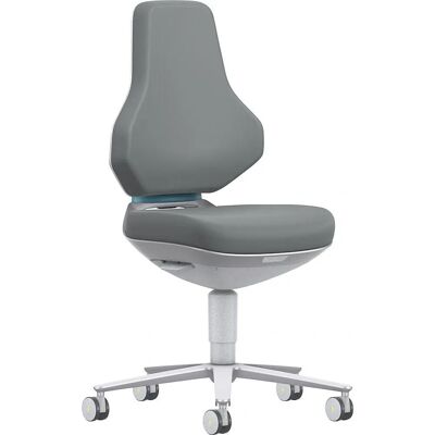 bimos Ergonomischer Höhenverstellbarer Bürostuhl - Hochtechnischer Reinraum - Grau bimos Ergonomischer Höhenverstellbarer Bürostuhl - Hochtechnischer Reinraum - Grau