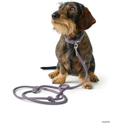 Dog Sport Hunter Adjustable Lead Soho Mini Lilac-Grey - Dog Leash Dog Sport Hunter Adjustable Lead Soho Mini Lilac-Grey - Dog Leash