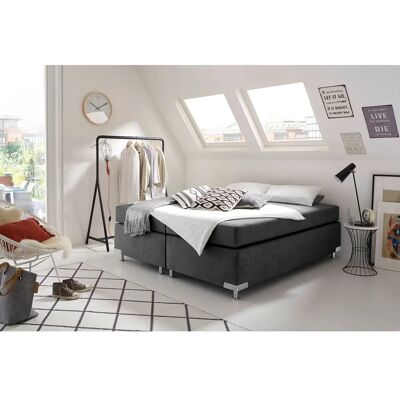 Westfalia Holland Boxspringbett - Microvelours, 200x200cm - Boxspringbett Westfalia Holland Boxspringbett - Microvelours, 200x200cm - Boxspringbett