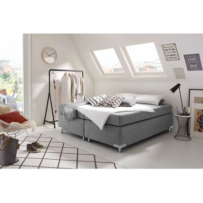 Westfalia Schlafkomfort Holland Microvelours Boxspringbett - Liegefläche 200x200 cm Westfalia Schlafkomfort Holland Microvelours Boxspringbett - Liegefläche 200x200 cm