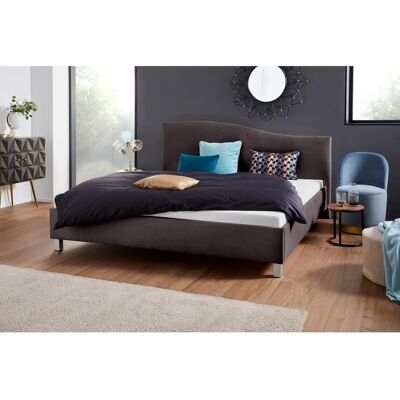 WESTFALIA SCHLAFKOMFORT Veloursstoff Polsterbett WESTFALIA SCHLAFKOMFORT Veloursstoff Polsterbett