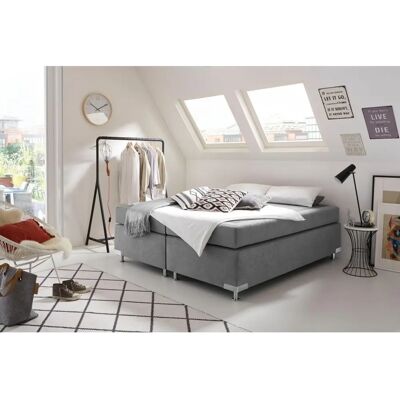 Westfalia Schlafkomfort Holland Microvelours Boxspringbett - Bettart Westfalia Schlafkomfort Holland Microvelours Boxspringbett - Bettart