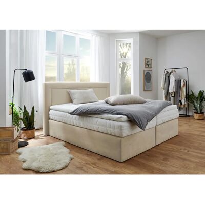 WESTFALIA SCHLAFKOMFORT Microvelours Boxspringbett - Boxspringbett WESTFALIA SCHLAFKOMFORT Microvelours Boxspringbett - Boxspringbett