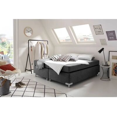 Westfalia Holland Microvelours Boxspringbett - Boxspringbett Westfalia Holland Microvelours Boxspringbett - Boxspringbett