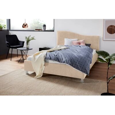 Westfalia Veloursbett - 152x210cm, 140x200cm, H100cm - Polsterbett Westfalia Veloursbett - 152x210cm, 140x200cm, H100cm - Polsterbett