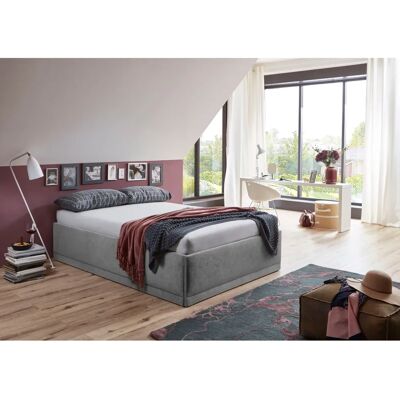 WESTFALIA SCHLAFKOMFORT Texel - Velours oder Microfaser Polsterbett, Grau, 146x206cm - Bett WESTFALIA SCHLAFKOMFORT Texel - Velours oder Microfaser Polsterbett, Grau, 146x206cm - Bett