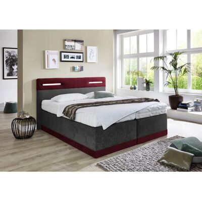 Westfalia Schlafkomfort Boxspringbett - Bordeaux/Anthrazit, 160x200cm, H3, 5-Zonen-Tonnentaschenfederkern Westfalia Schlafkomfort Boxspringbett - Bordeaux/Anthrazit, 160x200cm, H3, 5-Zonen-Tonnentaschenfederkern