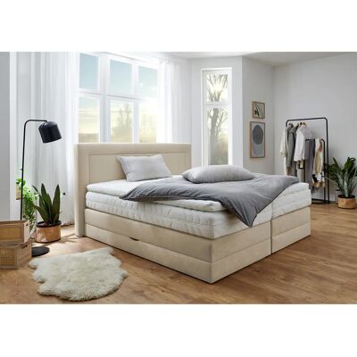 Westfalia Schlafkomfort Microvelours Boxspringbett - 180x200cm Westfalia Schlafkomfort Microvelours Boxspringbett - 180x200cm