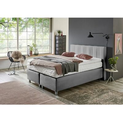 Westfalia Microvelours Boxspringbett - 140x200 cm - Hergestellt in Deutschland Westfalia Microvelours Boxspringbett - 140x200 cm - Hergestellt in Deutschland