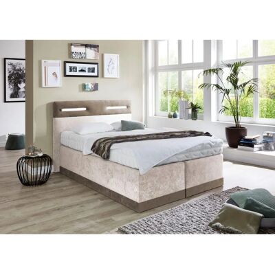 Westfalia Schlafkomfort Beiges Boxspringbett - Bett Westfalia Schlafkomfort Beiges Boxspringbett - Bett
