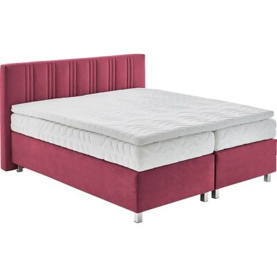 Westfalia Schlafkomfort Boxspringbett - 180x200cm Microvelours Westfalia Schlafkomfort Boxspringbett - 180x200cm Microvelours