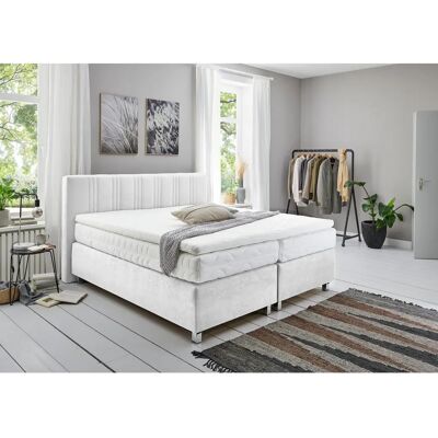 WESTFALIA SCHLAFKOMFORT Boxspringbett - Komplettbett Microvelours ohne Bettkasten WESTFALIA SCHLAFKOMFORT Boxspringbett - Komplettbett Microvelours ohne Bettkasten