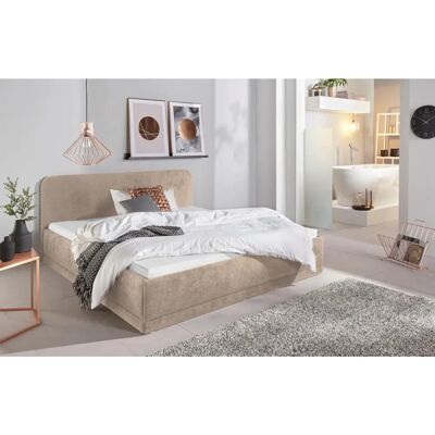 Westfalia Schlafkomfort Polsterbett mit Microfaser - Bett 160x200 cm Westfalia Schlafkomfort Polsterbett mit Microfaser - Bett 160x200 cm