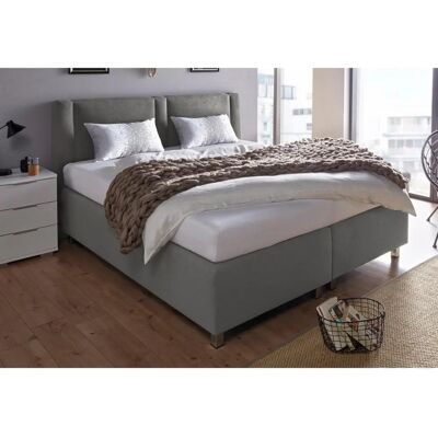 Westfalia Schlafkomfort Boxspringbett - 180x200cm - H2 - Mikrovelours dunkelgrau Westfalia Schlafkomfort Boxspringbett - 180x200cm - H2 - Mikrovelours dunkelgrau