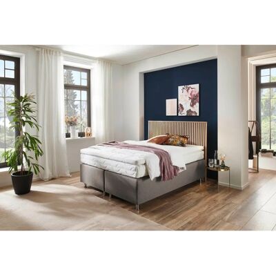 Westfalia Quercus Beiges Boxspringbett - Boxspringbett Westfalia Quercus Beiges Boxspringbett - Boxspringbett