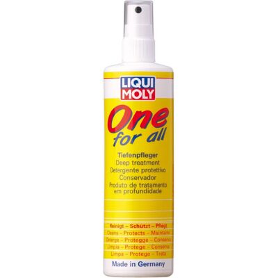 Liqui Moly 1650 Nettoyant Plastiques Tout-en-Un - Protection Profonde 250ml Liqui Moly 1650 Nettoyant Plastiques Tout-en-Un - Protection Profonde 250ml