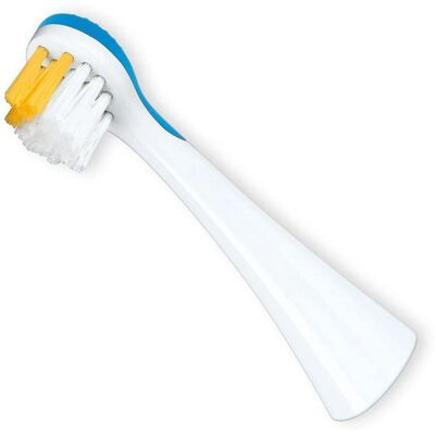 Têtes de Brosse à Dents de Rechange BEURER JZA70 - Petite Tête pour Enfants Têtes de Brosse à Dents de Rechange BEURER JZA70 - Petite Tête pour Enfants
