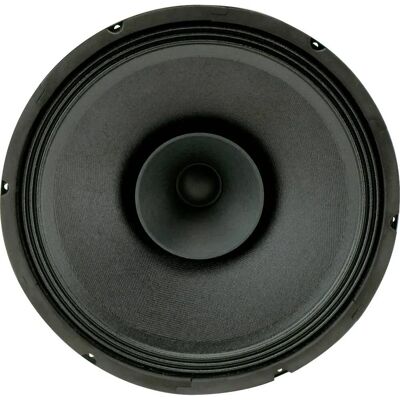 Rockwood Blanko PA Bass Fullrange 300 mm Gitarrenlautsprecher - Vollbereichslautsprecher Rockwood Blanko PA Bass Fullrange 300 mm Gitarrenlautsprecher - Vollbereichslautsprecher