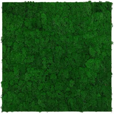 JANGAL Modular Wall - Mooswand Naturgrün 52x52cm JANGAL Modular Wall - Mooswand Naturgrün 52x52cm