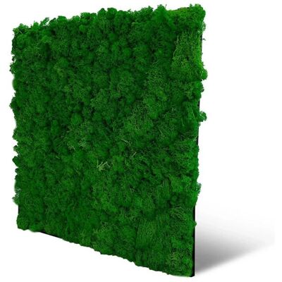 JANGAL Modular Wall - Mooswand Naturgrün 52x52cm JANGAL Modular Wall - Mooswand Naturgrün 52x52cm