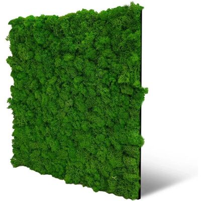 JANGAL Modular Wandpaneel Grün Moos Akustikwand JANGAL Modular Wandpaneel Grün Moos Akustikwand