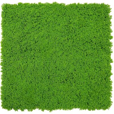 Jangal Lime Green Akustikpaneele - Modulare Synthetische Flora 52x52cm Jangal Lime Green Akustikpaneele - Modulare Synthetische Flora 52x52cm