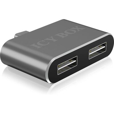 RaidSonic IB-HUB1201-C Hub USB - Anthracite - Publicité RaidSonic IB-HUB1201-C Hub USB - Anthracite - Publicité