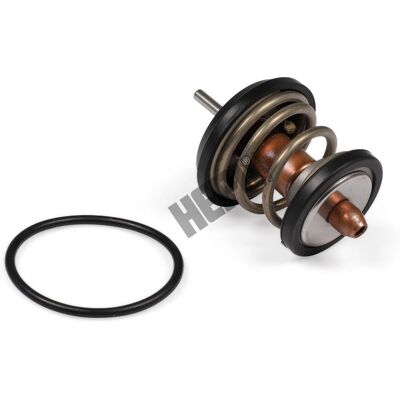 HEPU TM1003 Wasserthermostat - 95°C mit Dichtung - Audi & VW HEPU TM1003 Wasserthermostat - 95°C mit Dichtung - Audi & VW