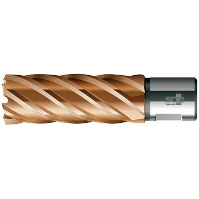 BDS Kernbohrer VarioPlus 12/50mm - HSS Weldon BDS Kernbohrer VarioPlus 12/50mm - HSS Weldon