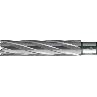 BDS Taladro de núcleo - Weldon HM 44/110mm - Para taladros magnéticos y de columna BDS Taladro de núcleo - Weldon HM 44/110mm - Para taladros magnéticos y de columna