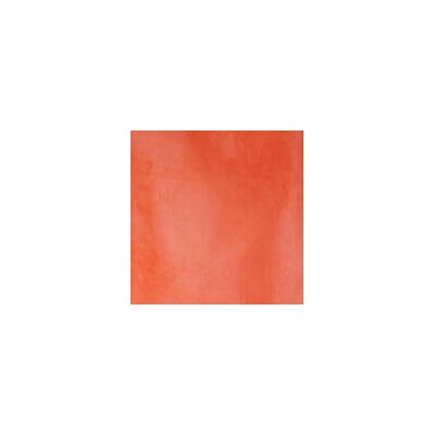 Walimex Kamera-Set - Oranger Stoffhintergrund 300x600cm Walimex Kamera-Set - Oranger Stoffhintergrund 300x600cm