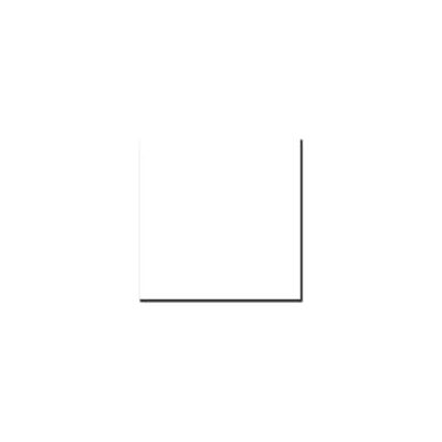 Kit Caméra Walimex - Blanc - Système de Fond 285x600 cm Kit Caméra Walimex - Blanc - Système de Fond 285x600 cm