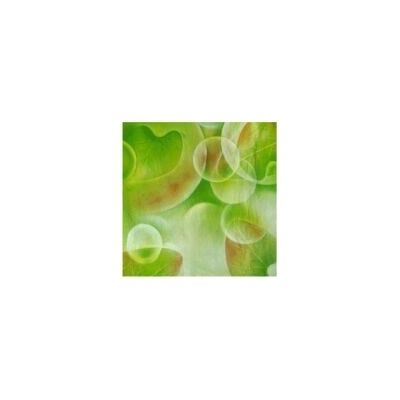 Walimex Kamera-Set - Grün, 3x6m, Modell 15917 - Kamera-Set Walimex Kamera-Set - Grün, 3x6m, Modell 15917 - Kamera-Set