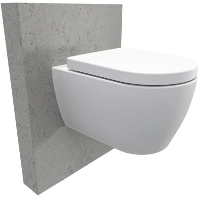 WC suspendu sans rebord avec revêtement Nano - Softclose NT2038 - Publicité WC suspendu sans rebord avec revêtement Nano - Softclose NT2038 - Publicité