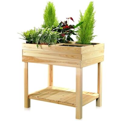 Mucola Tavolo da Giardino - Legno con 4 Scomparti - Arredo da Esterno Mucola Tavolo da Giardino - Legno con 4 Scomparti - Arredo da Esterno