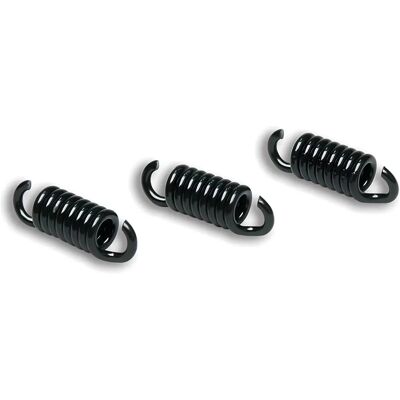 Ressorts d'embrayage noirs Malossi M2912049 - Pour Delta Clutch et Runner 125-180 - Publicité Ressorts d'embrayage noirs Malossi M2912049 - Pour Delta Clutch et Runner 125-180 - Publicité