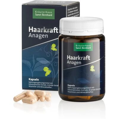 Kräuterhaus Sanct Bernhard Anagen - integratore per capelli - 120 capsule Kräuterhaus Sanct Bernhard Anagen - integratore per capelli - 120 capsule