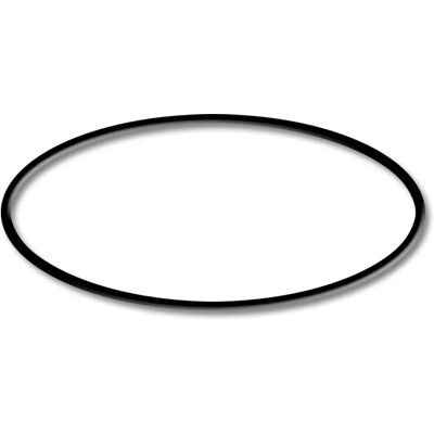 SunSun HZS-200/300 O-Ring Ersatz - Poolpumpe SunSun HZS-200/300 O-Ring Ersatz - Poolpumpe
