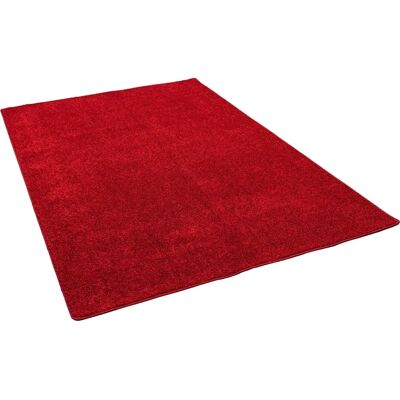 Snapstyle - Cottage Hochflor Teppich - Hochflor - 160 x 200 cm - Rug - Publicité Snapstyle - Cottage Hochflor Teppich - Hochflor - 160 x 200 cm - Rug - Publicité
