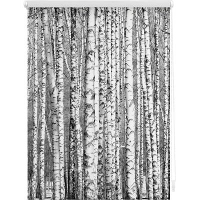 Lichtblick Birkenwald Rollostreifen - Fenstervorhang Lichtblick Birkenwald Rollostreifen - Fenstervorhang
