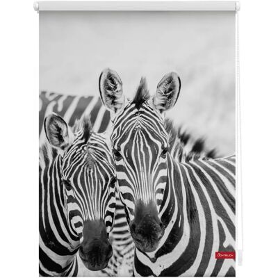 Lichtblick Zebra Seitenzugrollo - Kein Bohren Lichtblick Zebra Seitenzugrollo - Kein Bohren