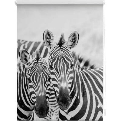 Lichtblick Zebra Fensterrollo - Klemmfix, 150x90cm, schwarz/weiß Lichtblick Zebra Fensterrollo - Klemmfix, 150x90cm, schwarz/weiß