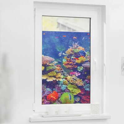 Lichtblick Aquarium Fensterfolie - Fischmuster - 100x100cm Lichtblick Aquarium Fensterfolie - Fischmuster - 100x100cm