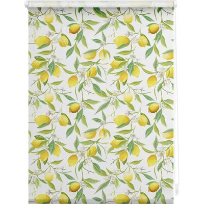 Lichtblick Limone - Rollo Klemmfix - 150x60cm Lichtblick Limone - Rollo Klemmfix - 150x60cm