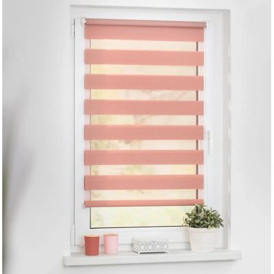 Lichtblick Duo-Rollo, Klemmfix, 80 x 200 cm, Polyester, altrosa - rot Lichtblick Duo-Rollo, Klemmfix, 80 x 200 cm, Polyester, altrosa - rot